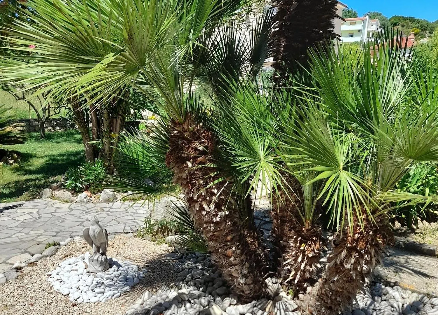 Apartments And Rooms With Parking Space Palit, Rab - 22221 Rab Town 0*,